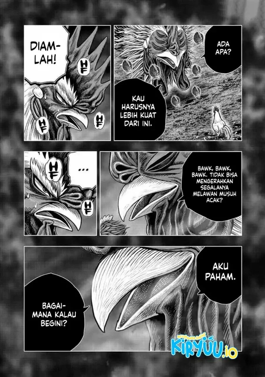 Rooster Fighter Bab 56 halaman 15