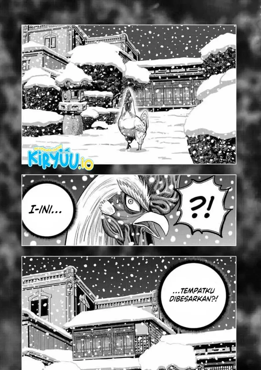 Rooster Fighter Bab 56 halaman 16