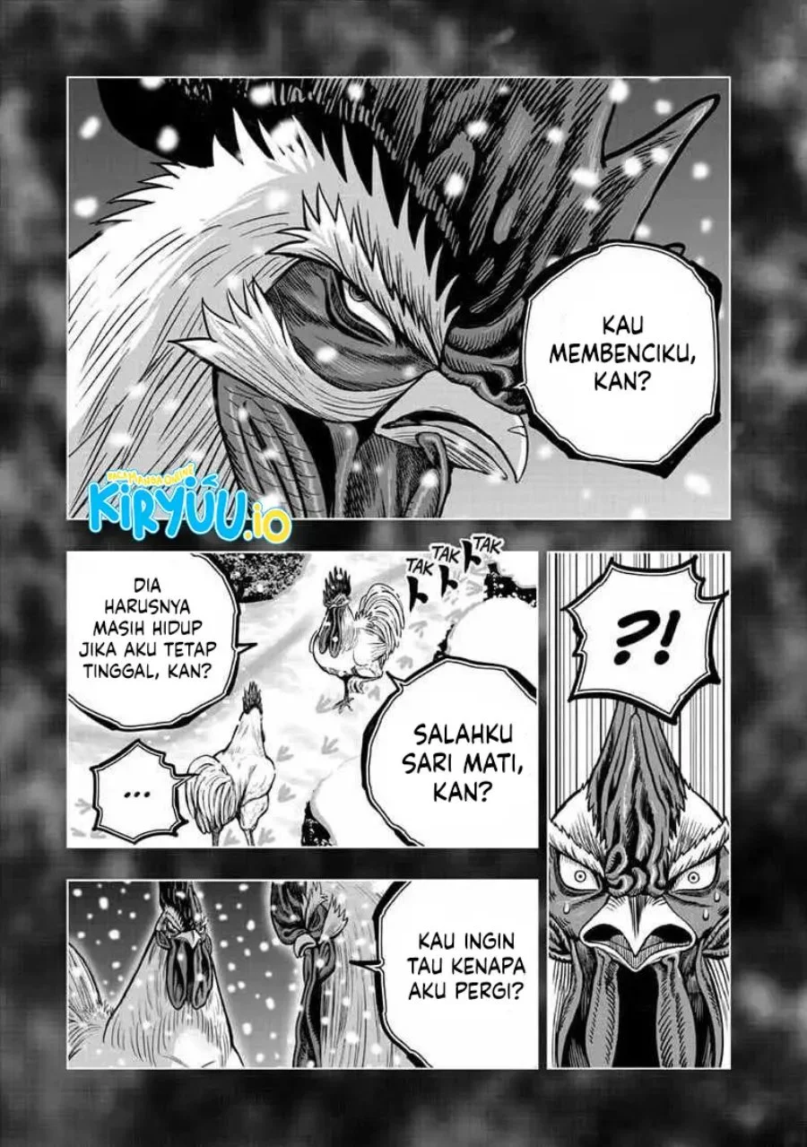 Rooster Fighter Bab 56 halaman 18