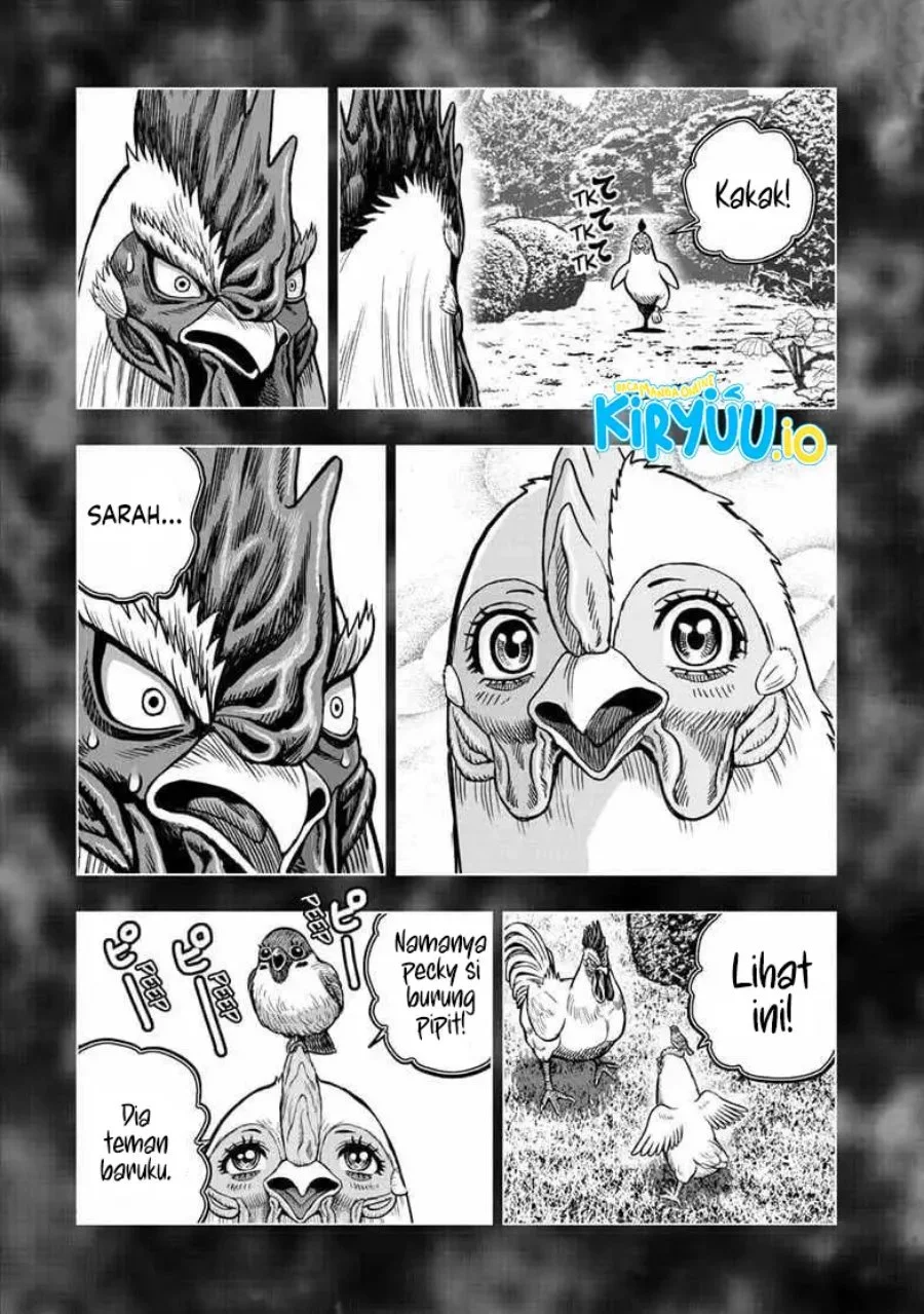 Rooster Fighter Bab 56 halaman 22