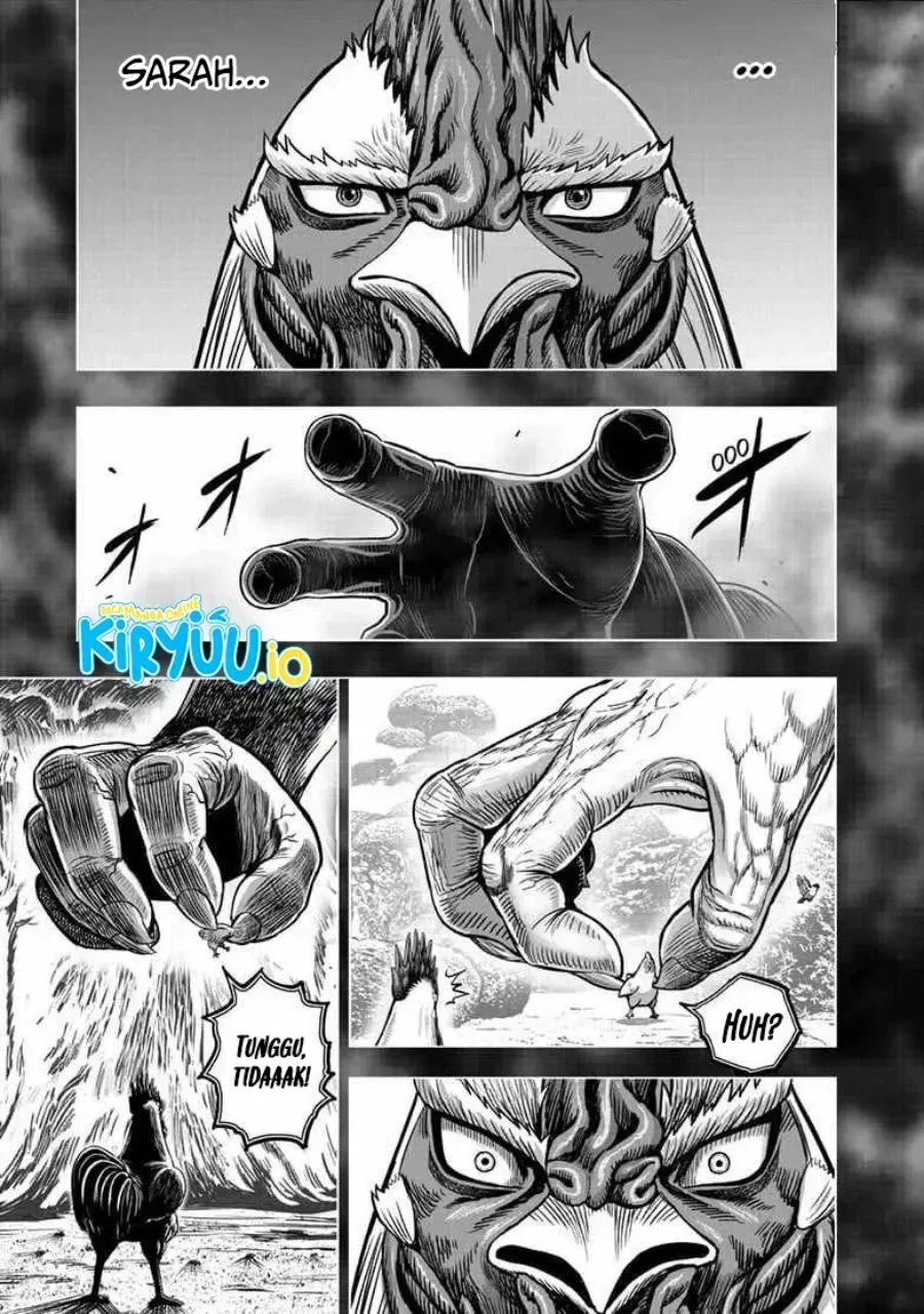 Rooster Fighter Bab 56 halaman 24