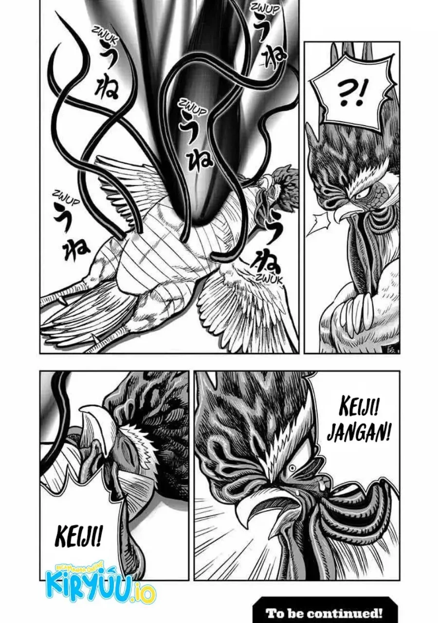 Rooster Fighter Bab 56 halaman 33