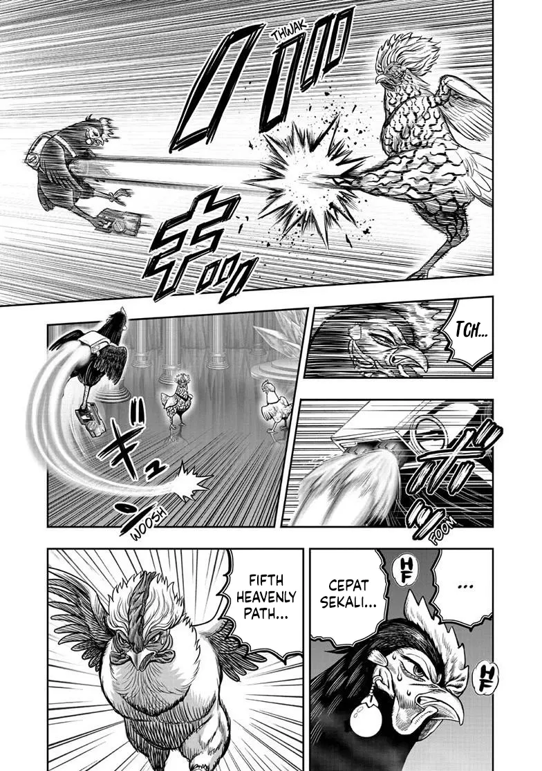 Rooster Fighter Bab 58 halaman 4