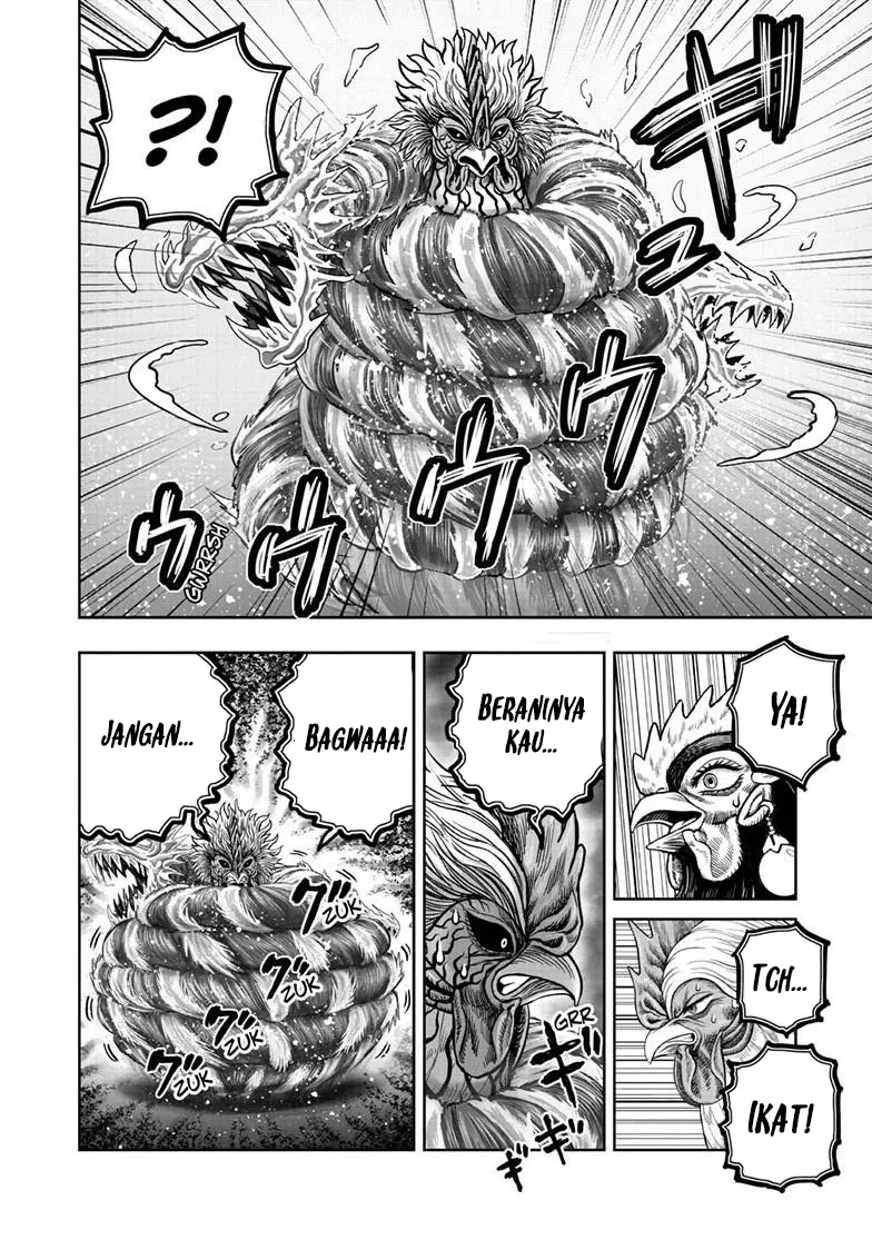 Rooster Fighter Bab 58 halaman 25