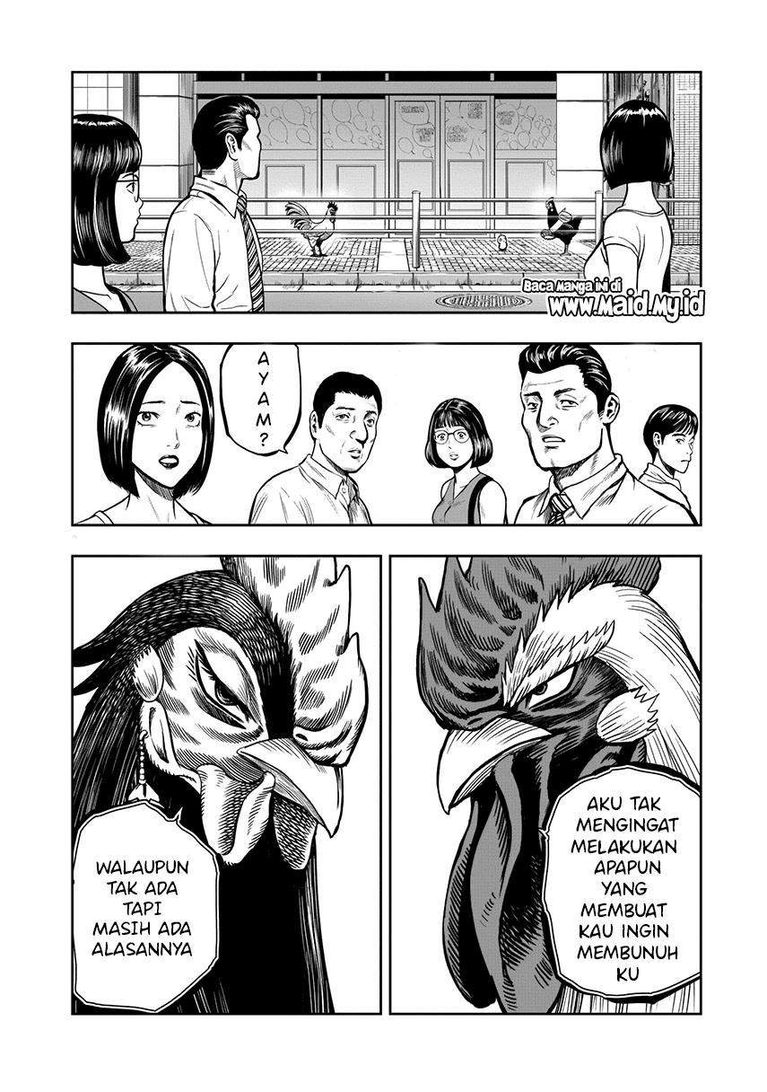 Rooster Fighter Bab 7 halaman 4