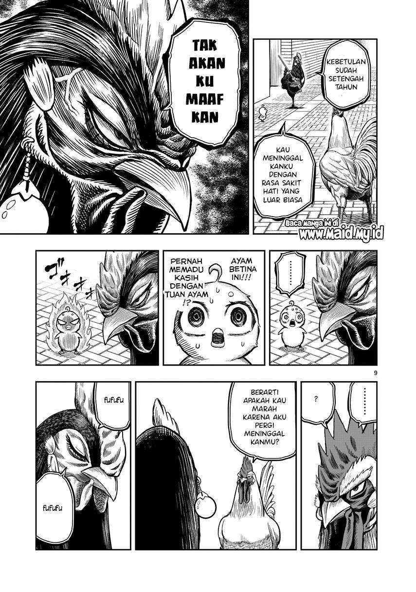 Rooster Fighter Bab 7 halaman 11