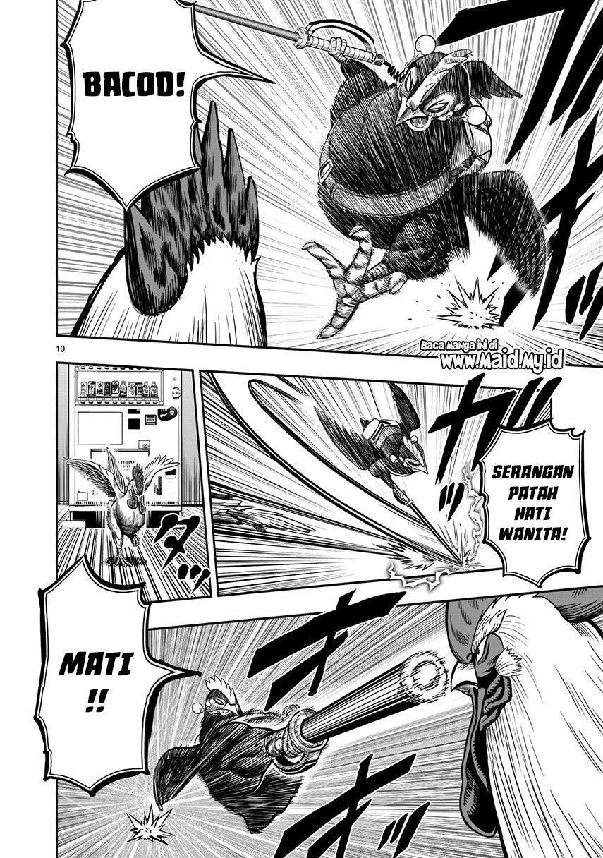 Rooster Fighter Bab 7 halaman 12