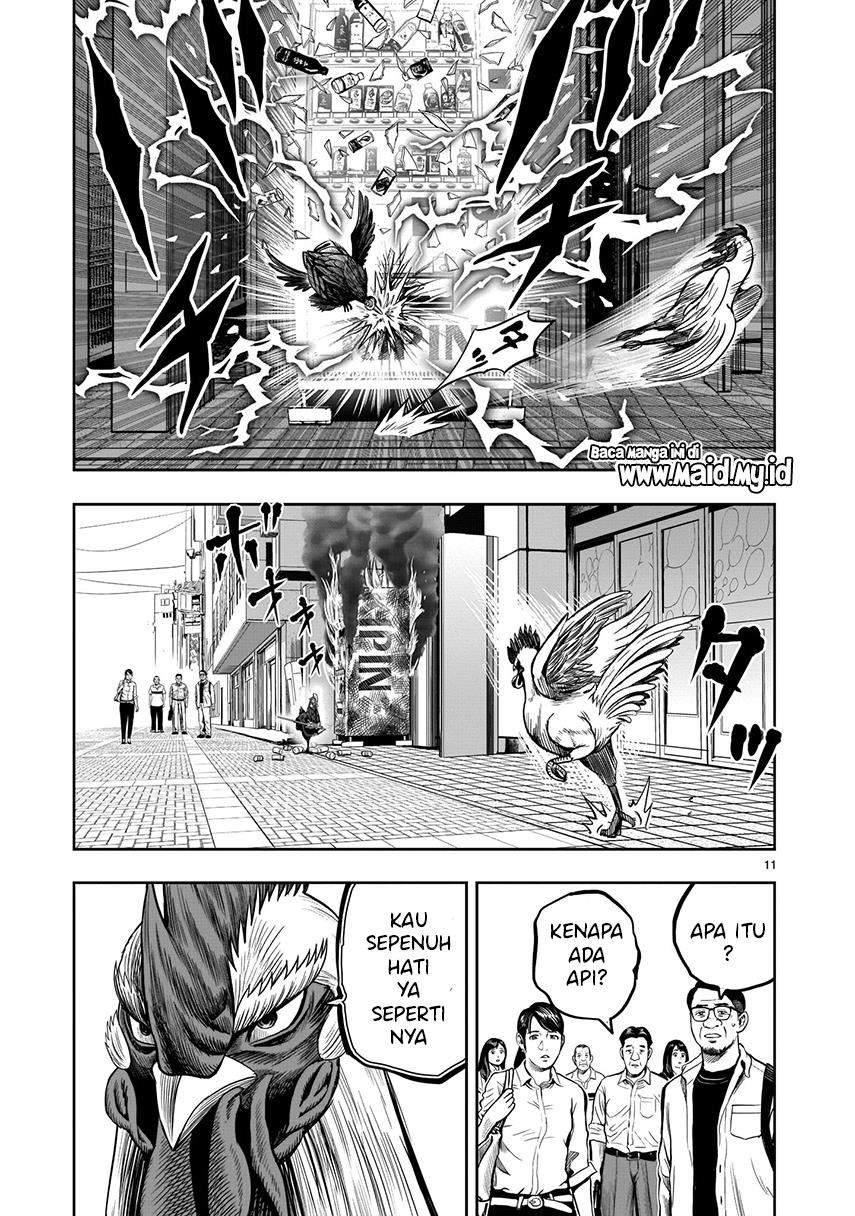 Rooster Fighter Bab 7 halaman 13