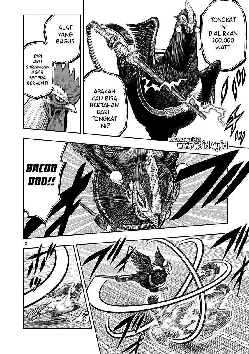 Rooster Fighter Bab 7 halaman 14