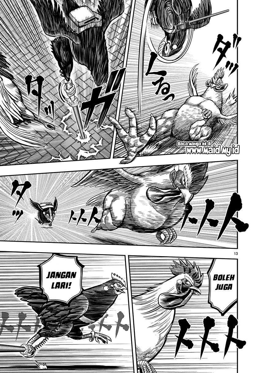 Rooster Fighter Bab 7 halaman 15