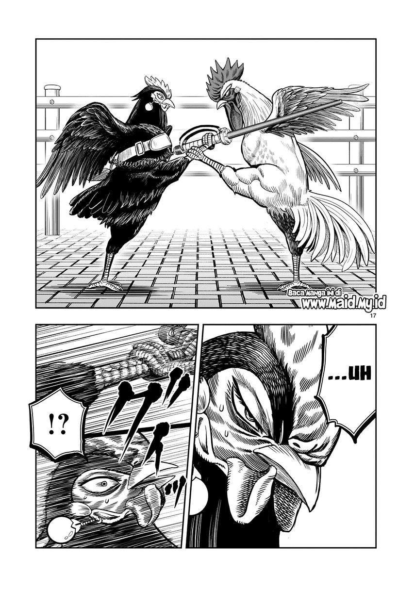 Rooster Fighter Bab 7 halaman 19