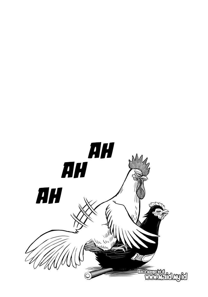 Rooster Fighter Bab 7 halaman 22