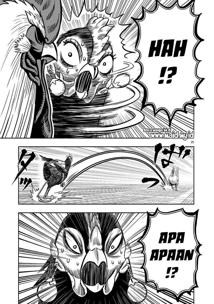 Rooster Fighter Bab 7 halaman 23