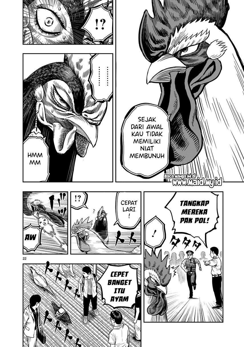 Rooster Fighter Bab 7 halaman 24
