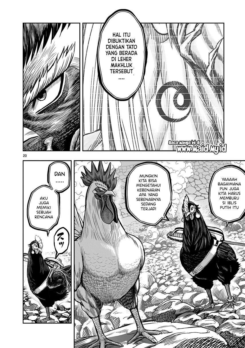Rooster Fighter Bab 8 halaman 22
