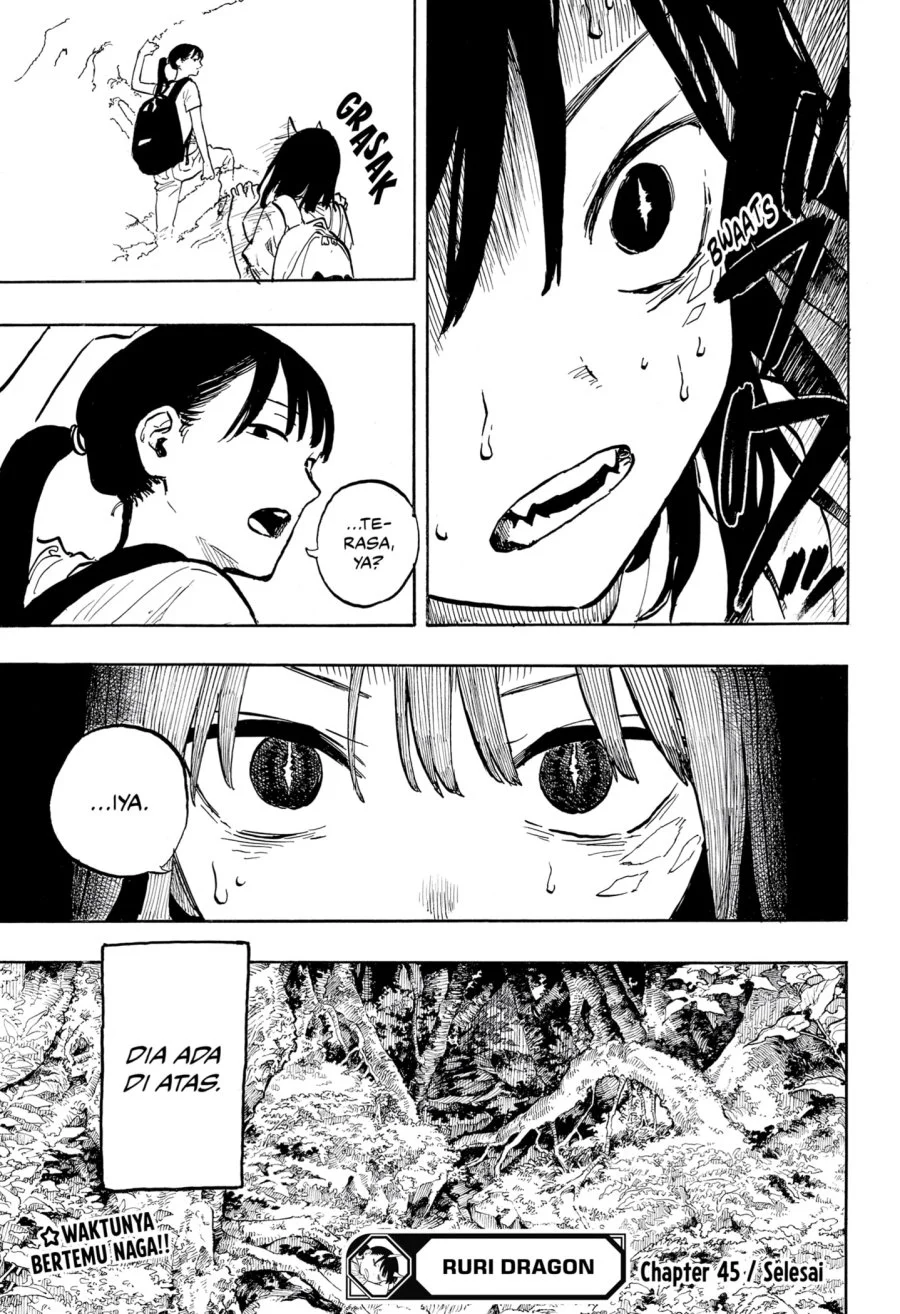 Ruri Dragon Bab 45 halaman 19