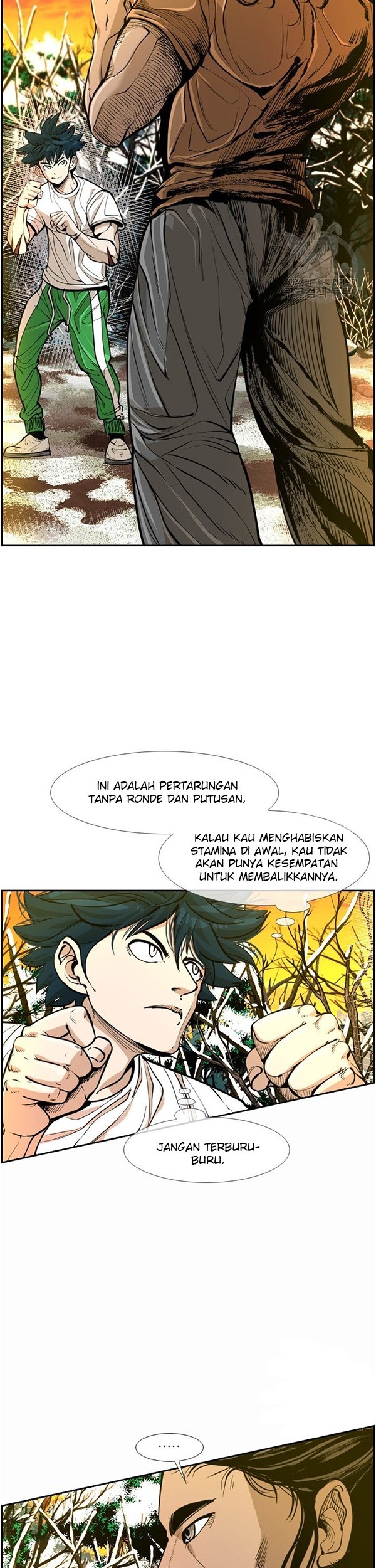 Shark Bab 233.1 halaman 8
