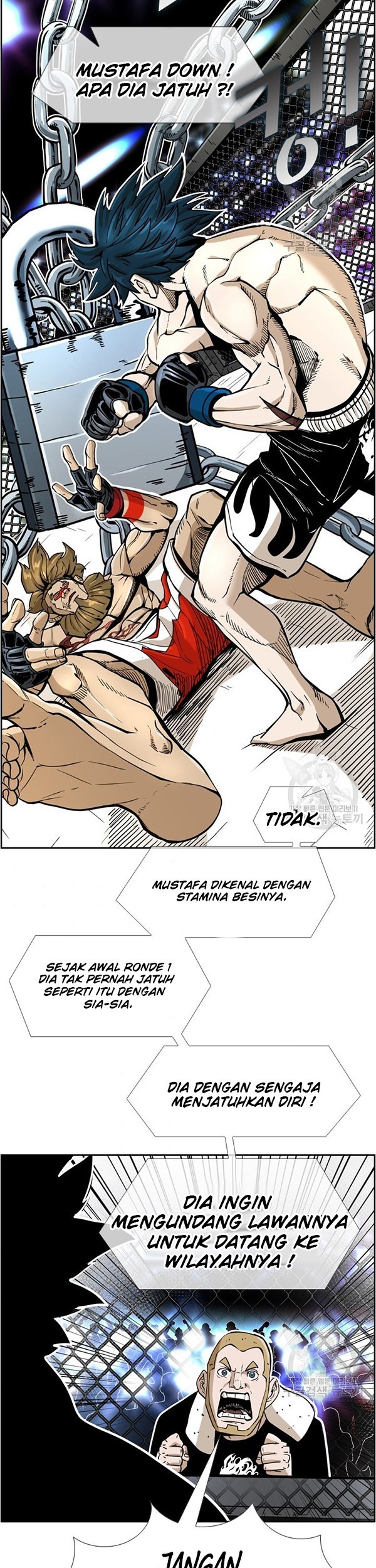 Shark Bab 243.2 halaman 16