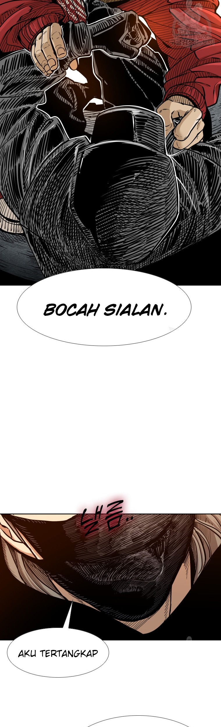Shark Bab 258.1 halaman 20