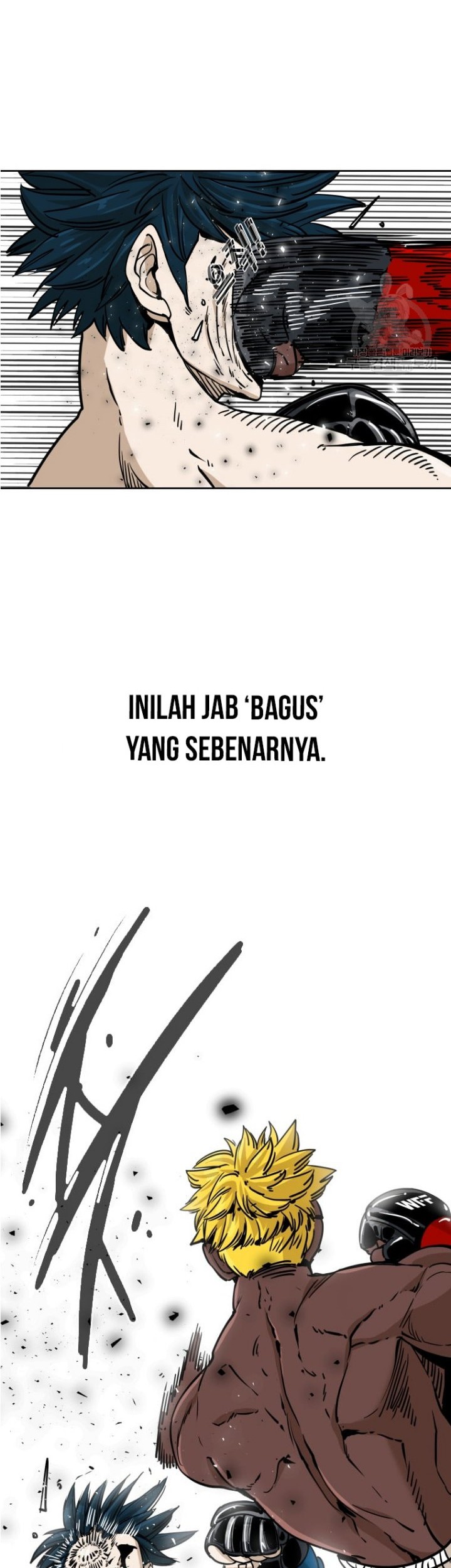 Shark Bab 260.2 halaman 3