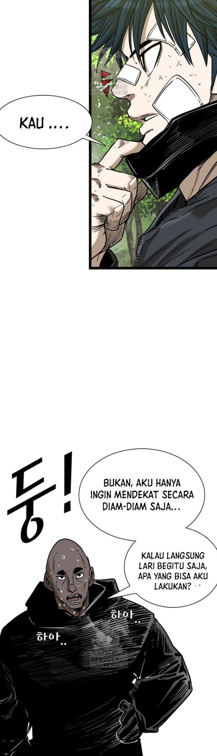 Shark Bab 371 halaman 24