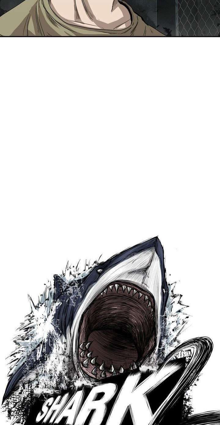 Shark Bab 95 halaman 7
