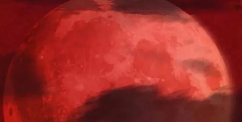Since The Red Moon Appeared chapter 110 halaman 8