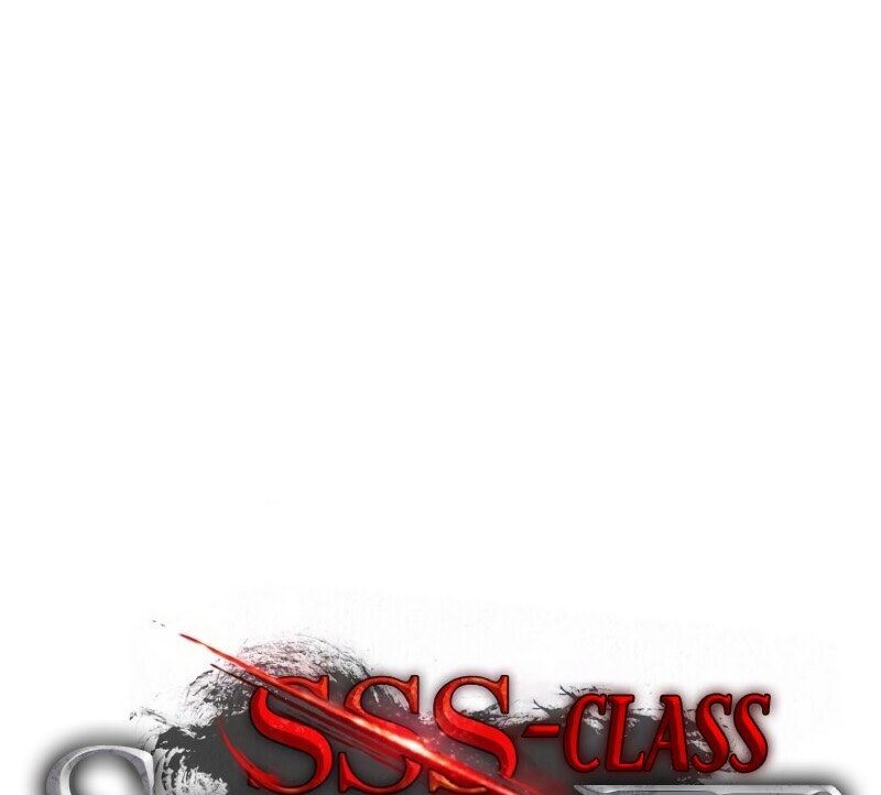 SSS-Class Suicide Hunter Bab 41 halaman 43
