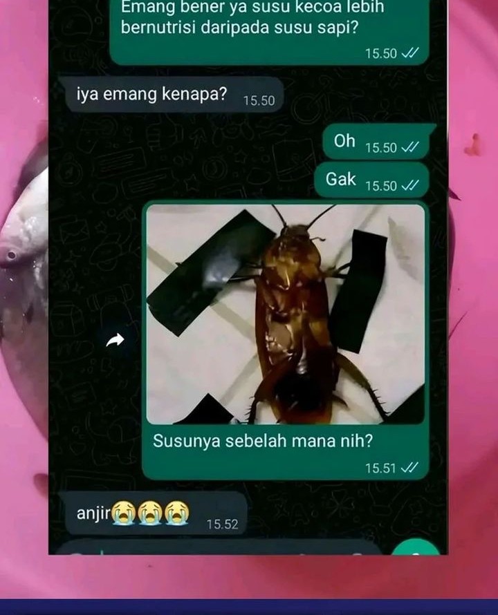 Star Ginseng Store Bab 110 halaman 64