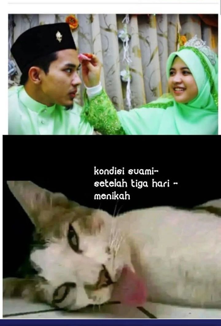 Starting From Maximum Charm Point Bab 97 halaman 36