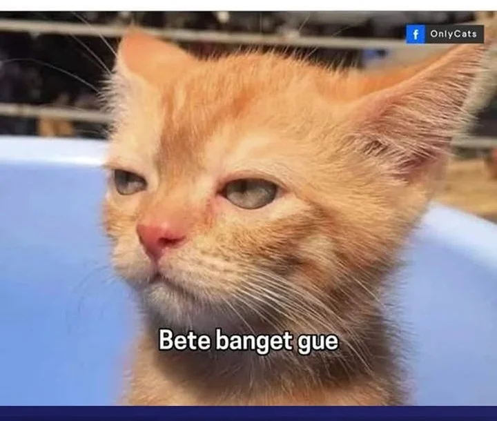 Supreme Curse Master Bab 44 halaman 38