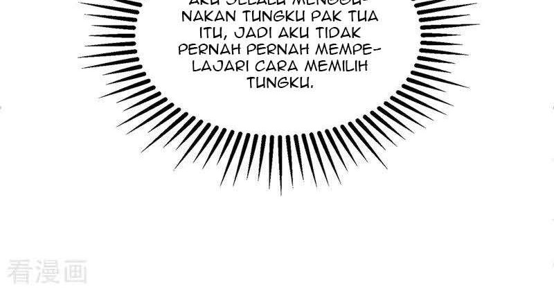 Supreme Godly System chapter 197 halaman 14