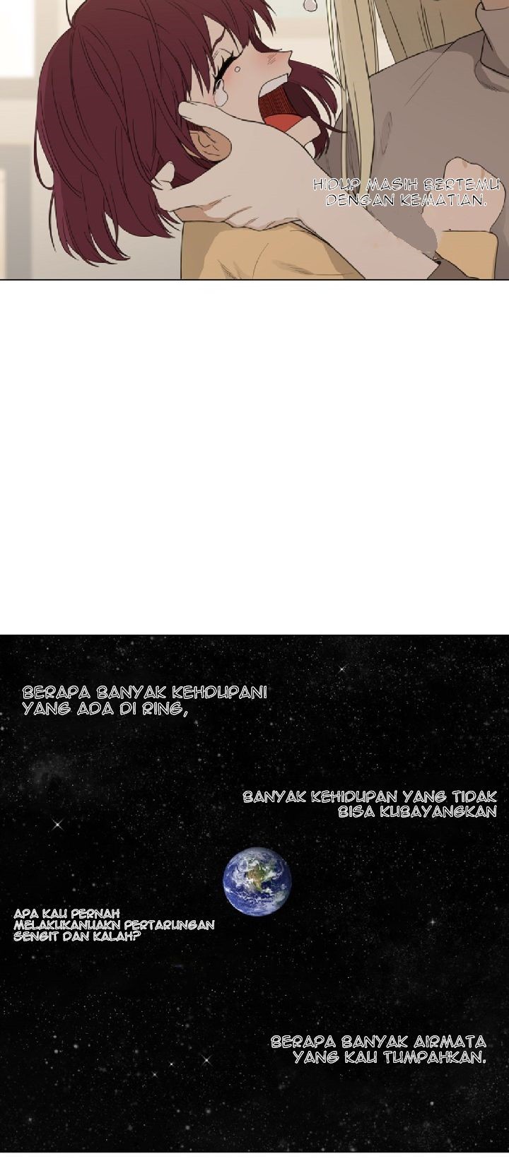 The Boxer chapter 104 halaman 37
