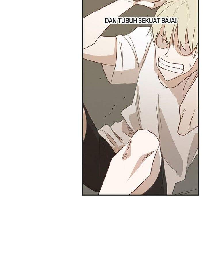The Boxer chapter 33 halaman 31