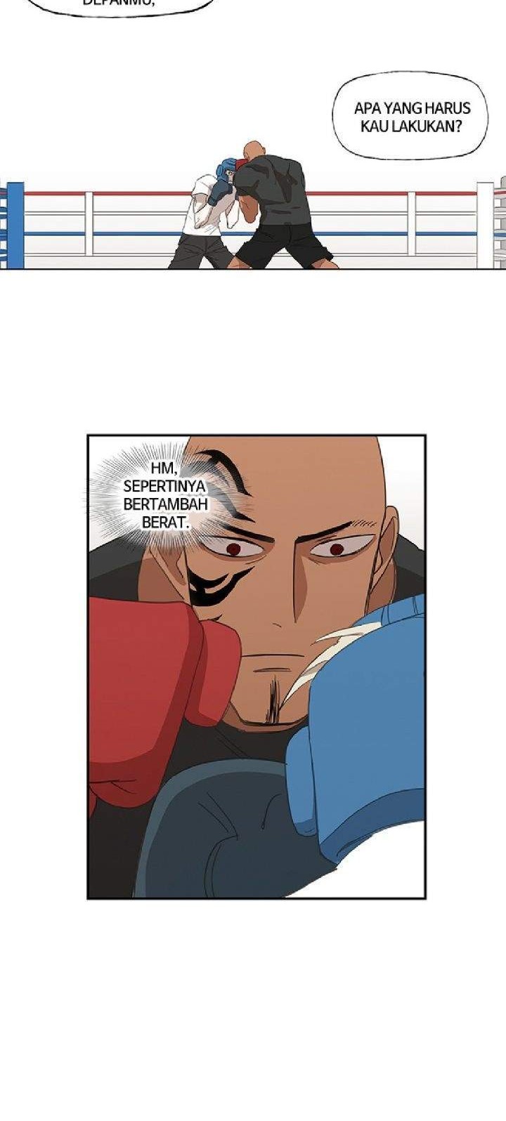 The Boxer chapter 34 halaman 13