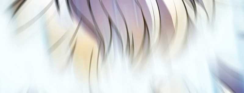 The Flag Bearer Warrior chapter 50 halaman 11
