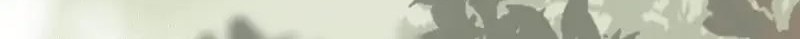The Ghostly Doctor chapter 479 halaman 44