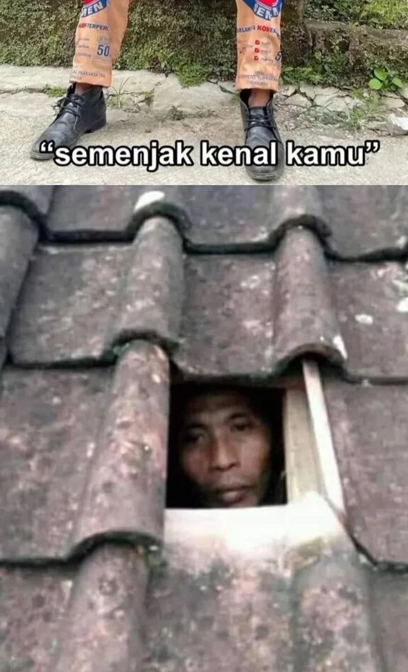 The Heavenly Path Is Not Stupid Bab 155 halaman 59