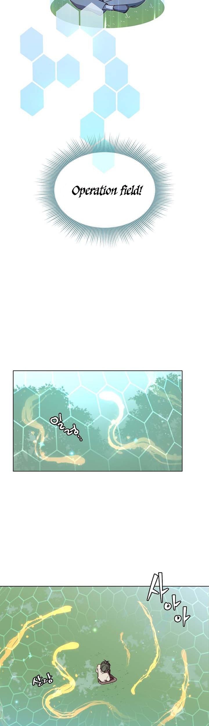 The MAX leveled hero will return! Bab 06 halaman 14