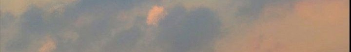 The Wanderer chapter 17.1 halaman 9