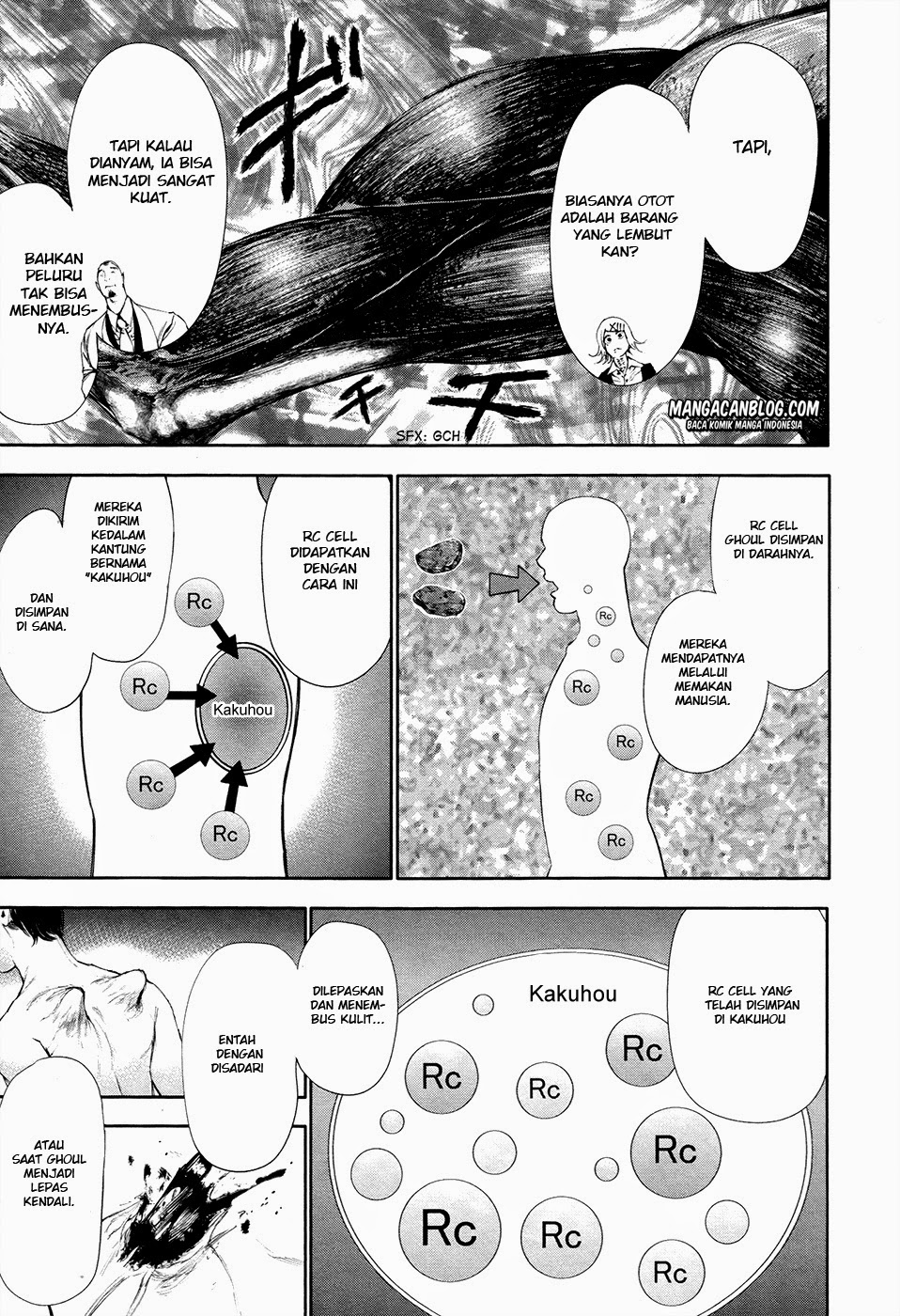 Tokyo Ghoul Bab 53 halaman 9