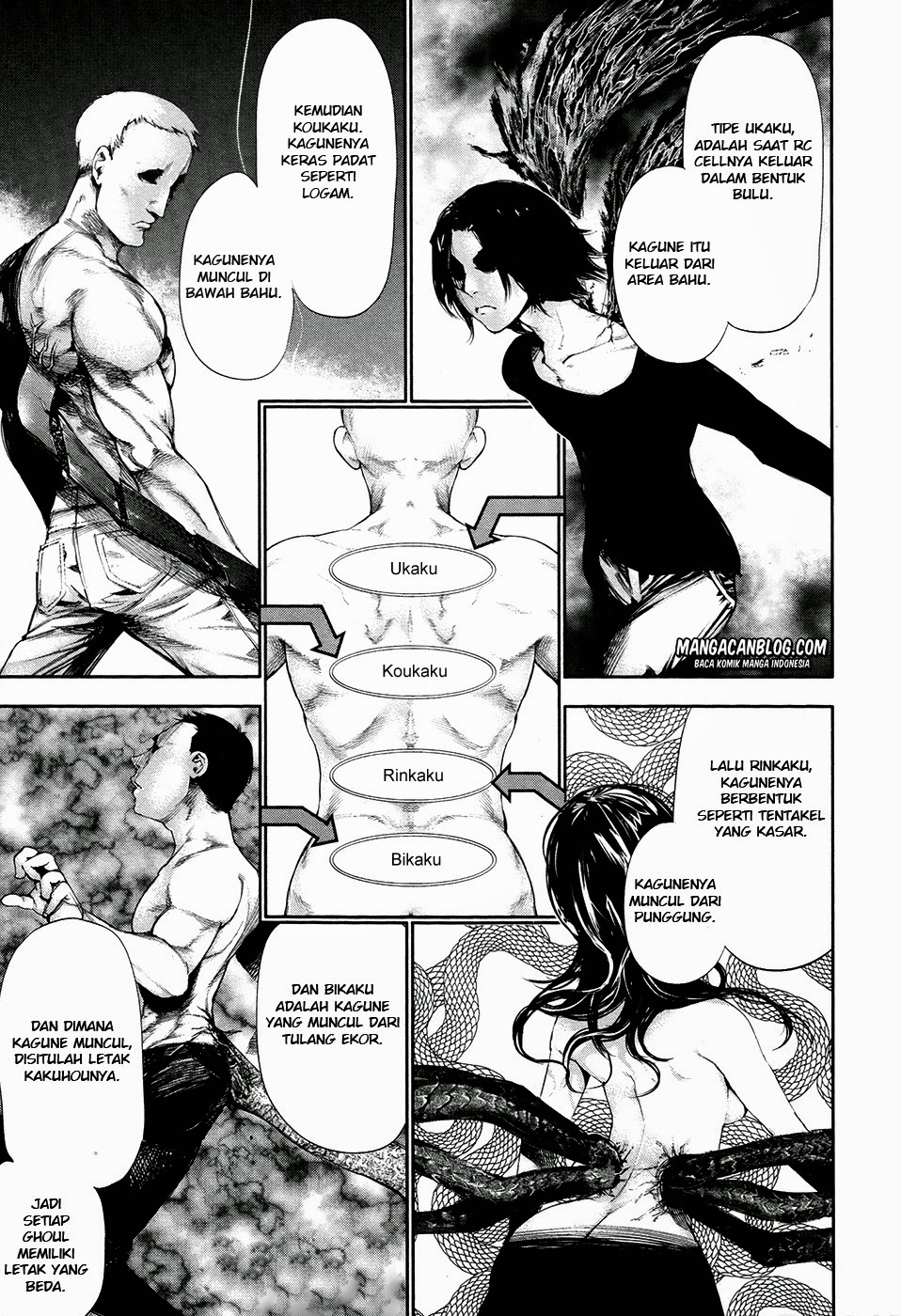 Tokyo Ghoul Bab 53 halaman 11