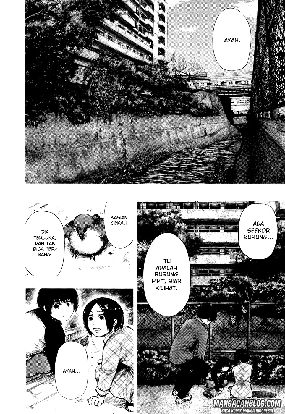 Tokyo Ghoul Bab 70 halaman 8