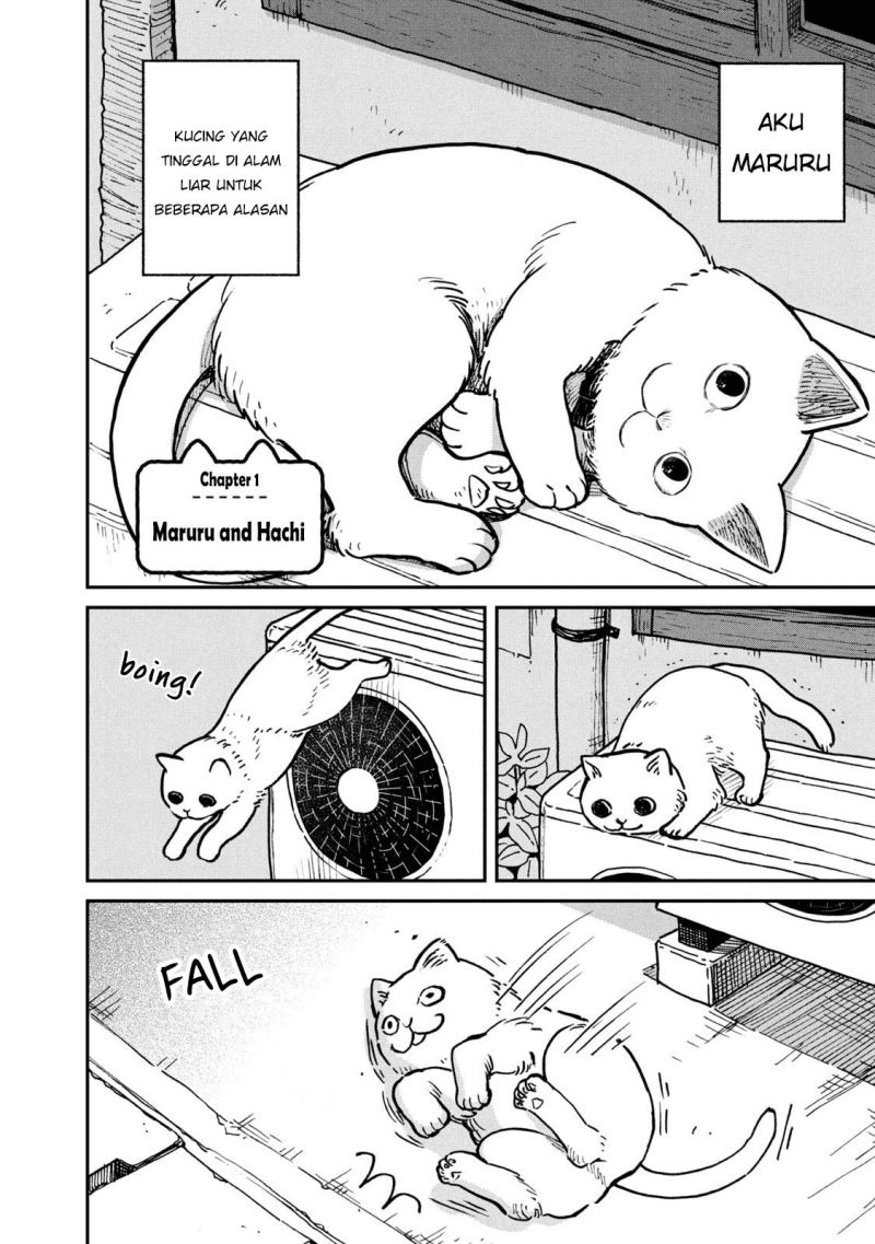 Tsureneko: Maruru to Hachi chapter 01 halaman 5