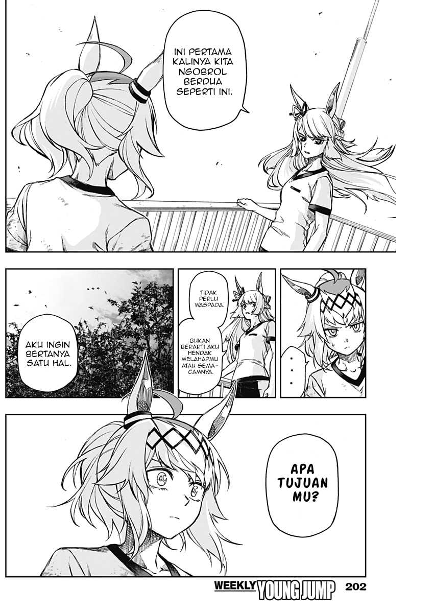 Uma Musume: Cinderella Gray Bab 6 halaman 14
