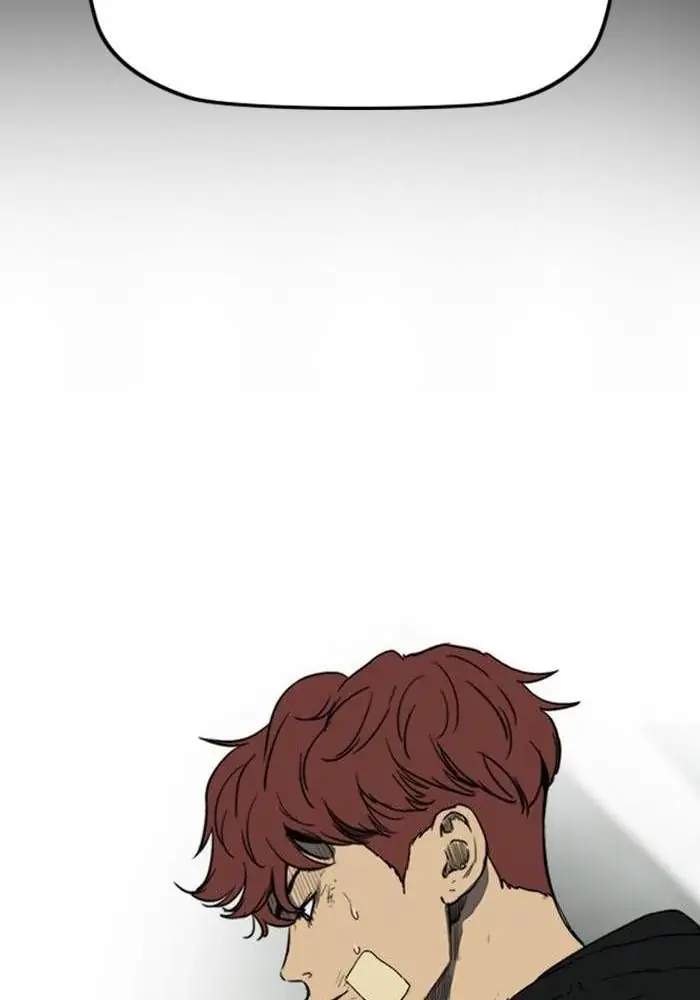 Wind Breaker chapter 246 halaman 49