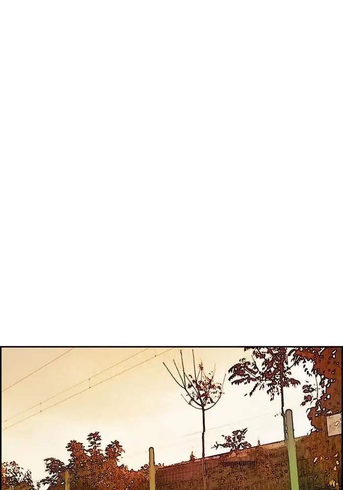 Wind Breaker chapter 247 halaman 91