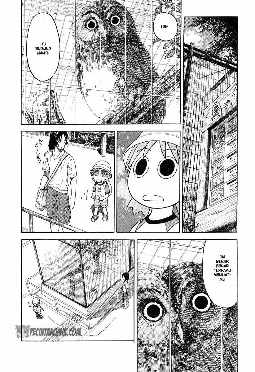 Yotsuba to! Bab 19 halaman 17