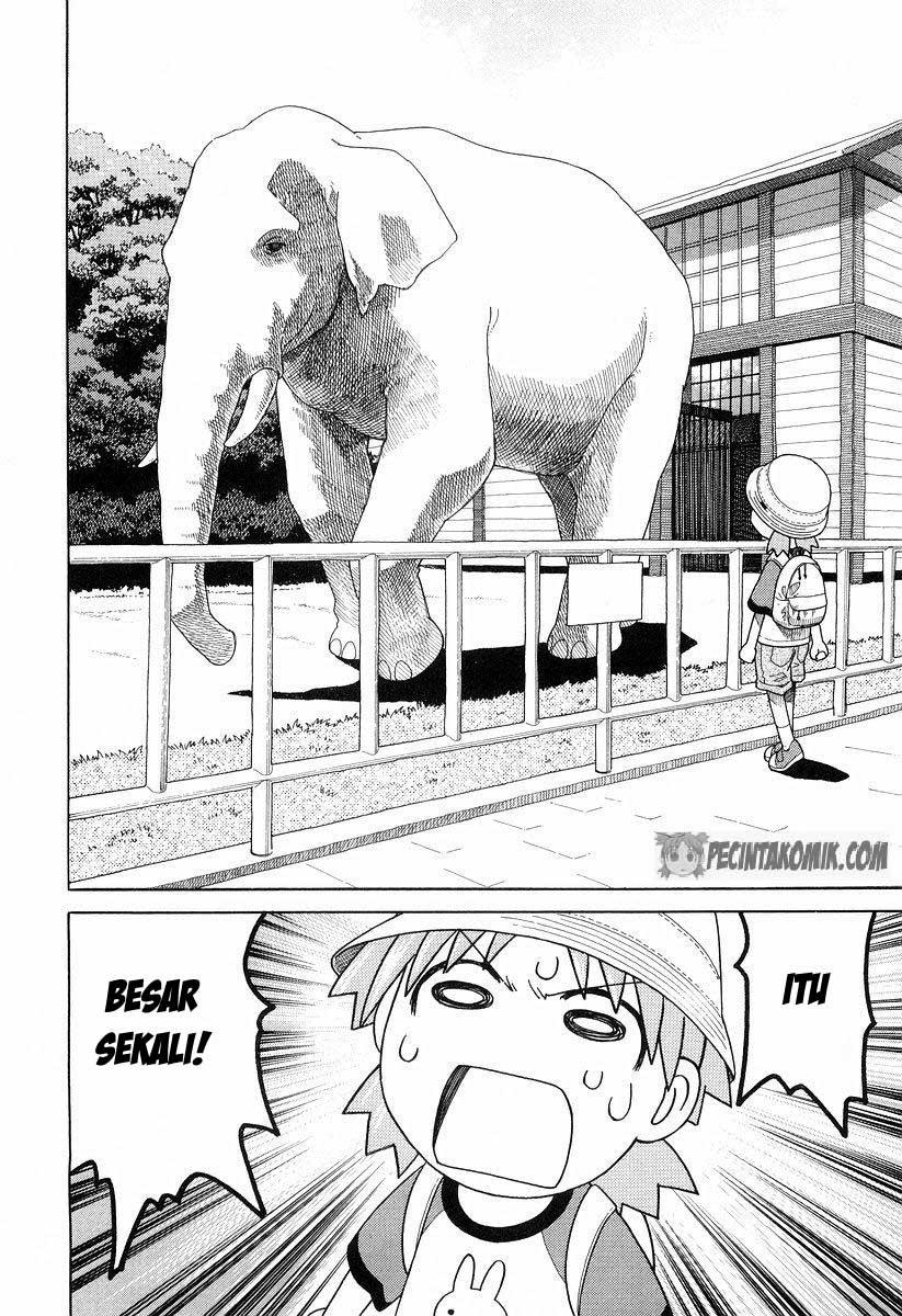 Yotsuba to! Bab 19 halaman 21