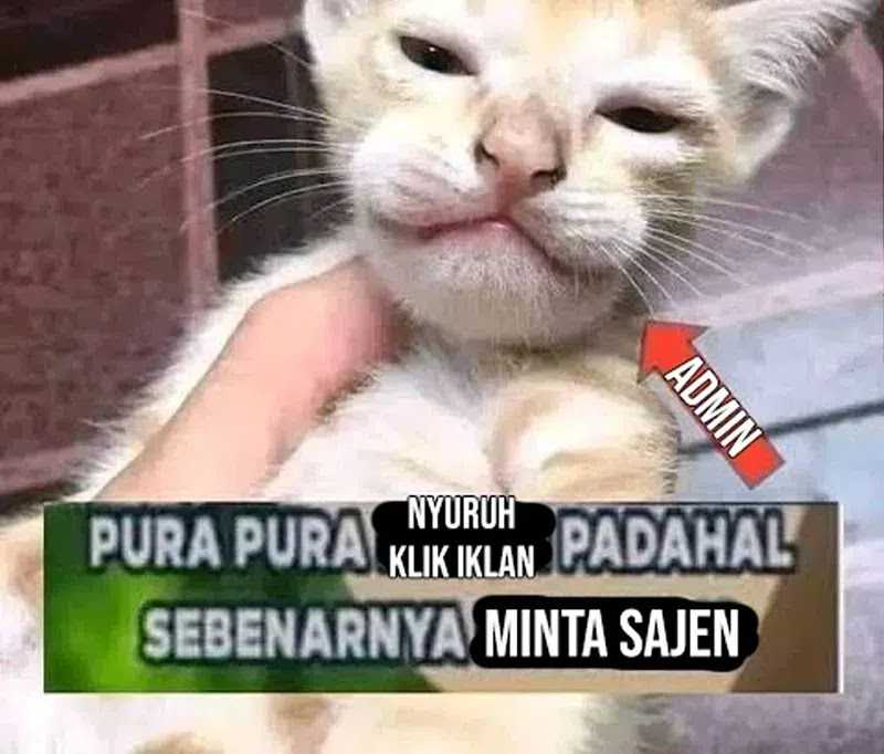 Zombie Apocalypse 82-08 Bab 18 halaman 118